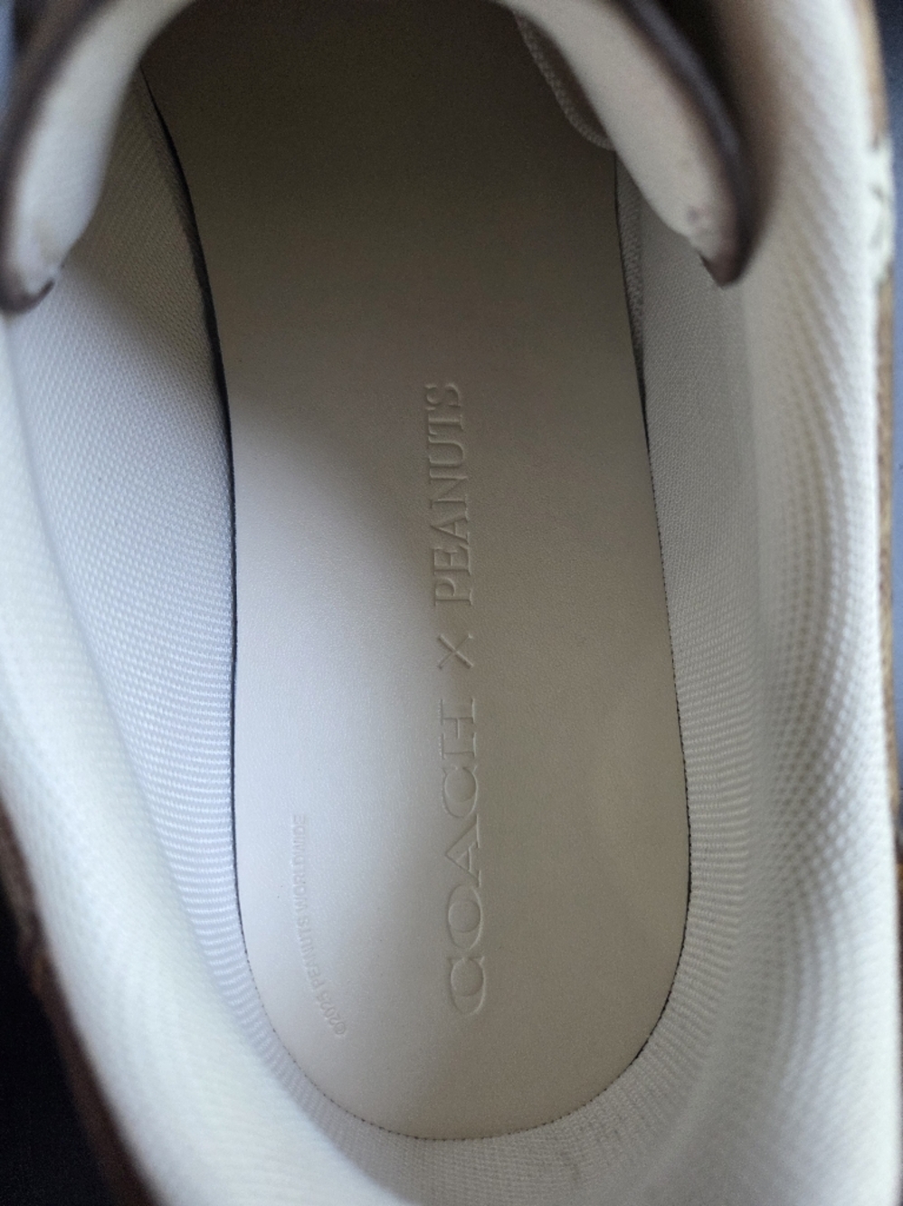 Coach × Peanuts Shoes - Picture 9 of 16